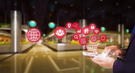 快消品零售商的實證案例研究 購物系統的視角